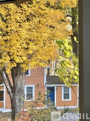 A tree with yellow leaves in front of a house.