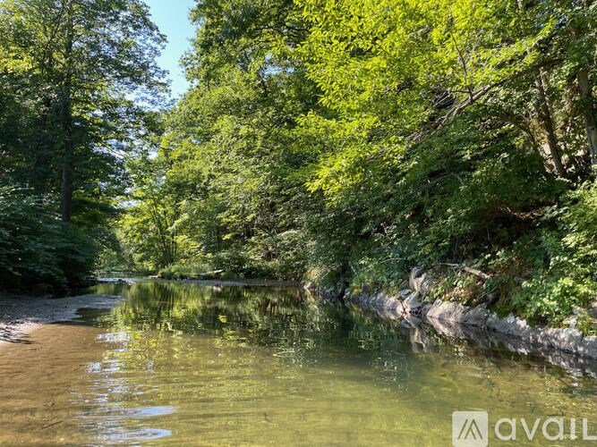 A calm river flows through a lush green forest.