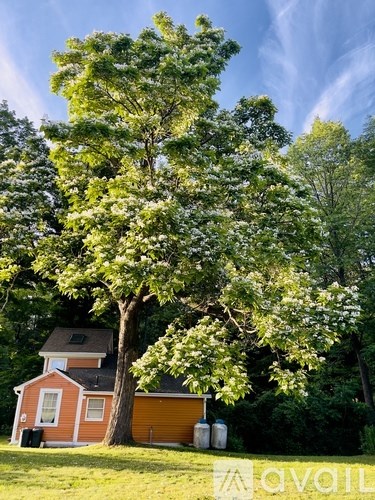 A tree with white flowers stands in front of a house.