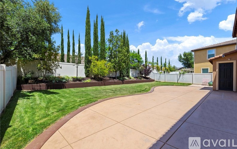 A residential backyard with a concrete pathway, green grass, and tall trees.