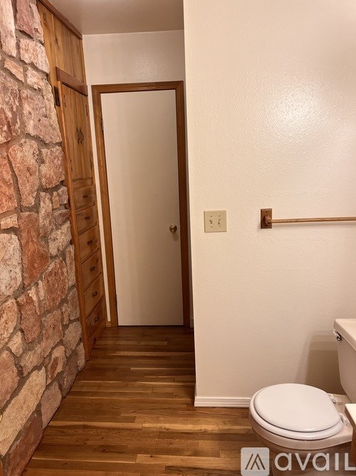 A bathroom with a toilet and a wooden door.