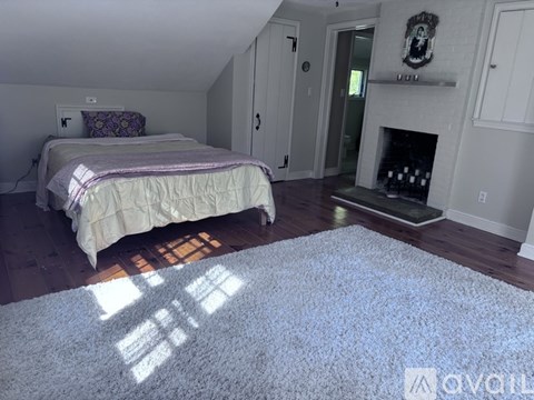 A bedroom with a bed, a fireplace, and a rug.