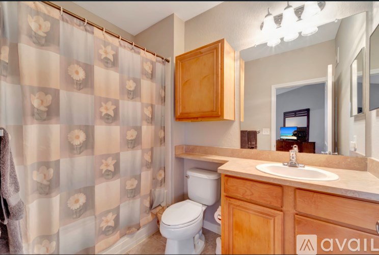 A bathroom with a toilet, sink, and shower curtain.