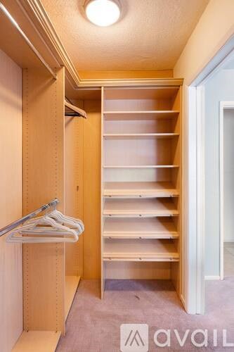 A wooden walk-in closet with shelves and a hanging rod.