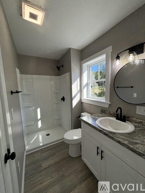 A bathroom with a walk-in shower, toilet, and sink.