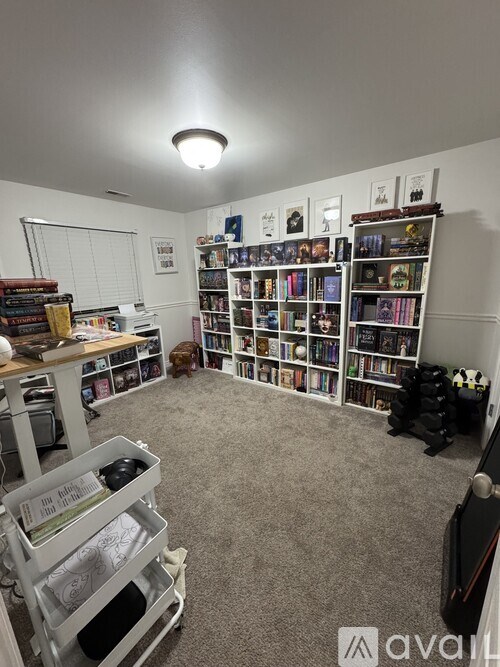A room with a carpeted floor and a large bookshelf filled with books.