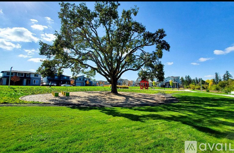 A large tree in a grassy field with a house in the background.
