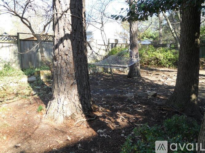 A tree in a yard with a swing hanging from it.