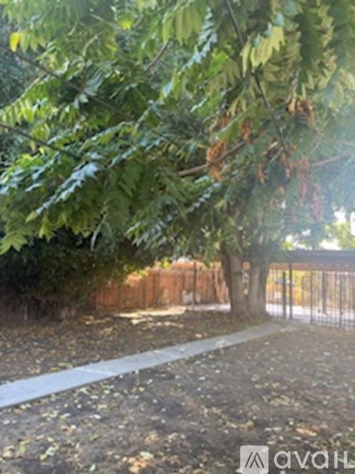 A tree with green leaves is in the foreground of the image.