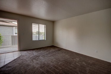 A room with a brown carpet and a window.