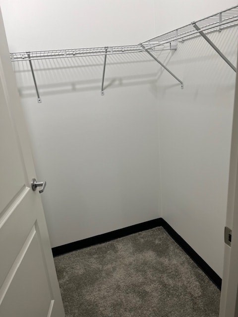 1951 Sternberg rd 1-3 Beds Apartment for Rent - Photo Gallery 6