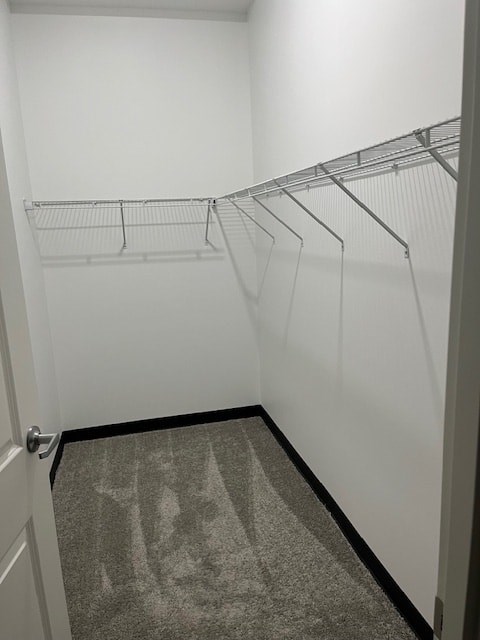 1951 Sternberg rd 1-3 Beds Apartment for Rent - Photo Gallery 8