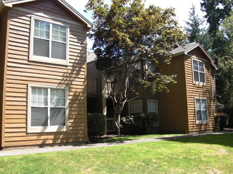 Two brown houses with white windows and a tree in between.