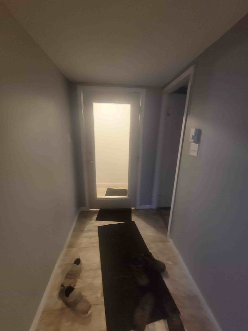 A hallway with a black mat and shoes on the floor.