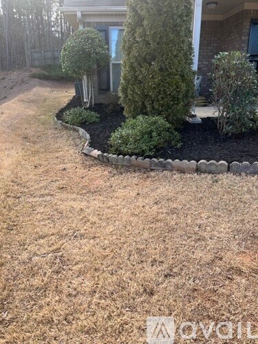 A garden with a lawn and a row of bushes.