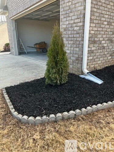 A small tree is planted in a bed of mulch in front of a garage.