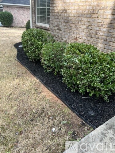 A row of green bushes are planted in a black bed in front of a brick house.