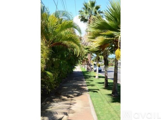 A tree with a yellow flower hangs over a sidewalk.