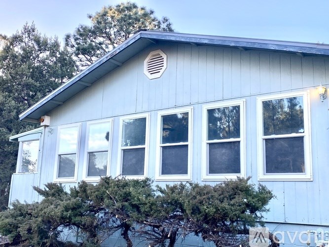 A white house with a blue roof and a tree in front.