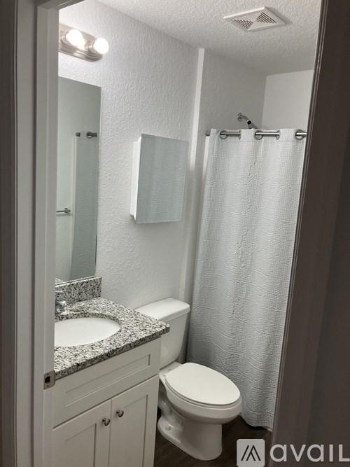 A bathroom with a toilet, sink, and shower curtain.