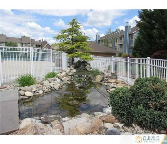 A small pond with a tree in the middle of it.
