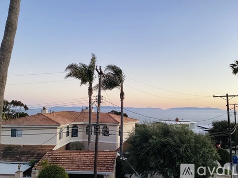 A house with a palm tree in front of it.
