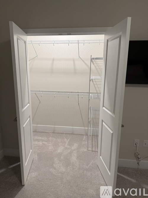 A white open pantry with shelves and a carpeted floor.
