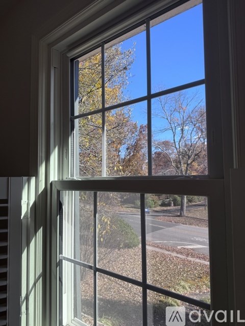 A window with a view of a tree and a clear blue sky.