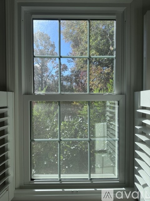 A window with a view of trees and sky.
