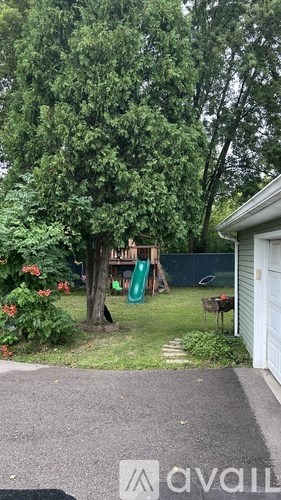 A tree in a yard with a swing set.