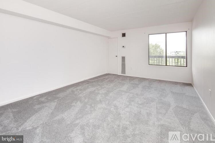 A spacious room with a grey carpet and a window overlooking a balcony.