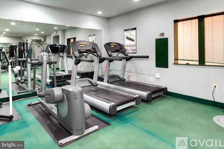 A gym with treadmills, elliptical machines, and other cardio equipment.