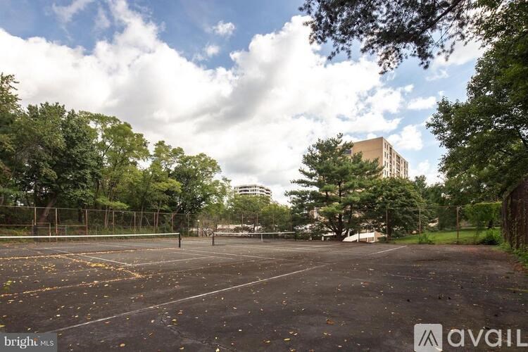 A large, empty parking lot with trees and a building in the background.