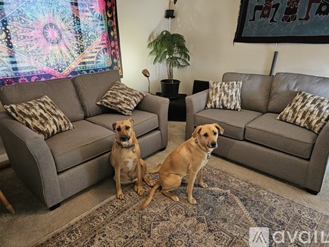 Two dogs sitting on a rug in a living room.