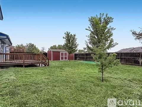 A backyard with a tree, a fence, and a shed.