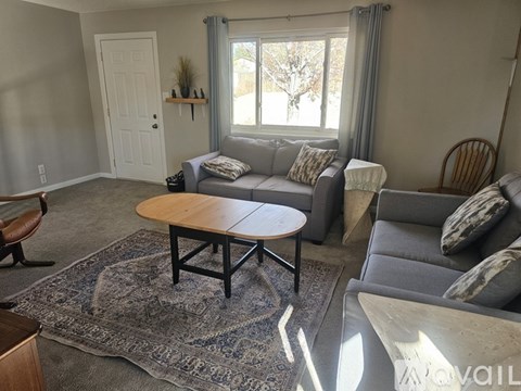 A living room with a grey couch, a wooden coffee table, and a rug.