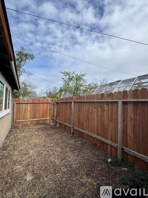A backyard with a wooden fence and a shed.