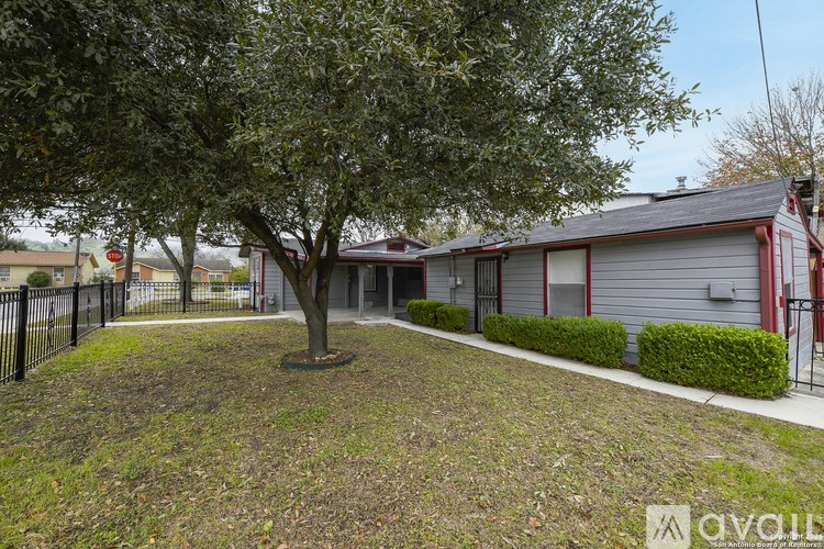 A tree in a yard with a house in the background.