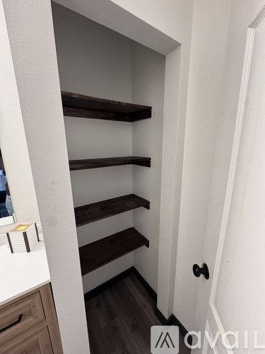 A white doorway with a black handle and a set of shelves.