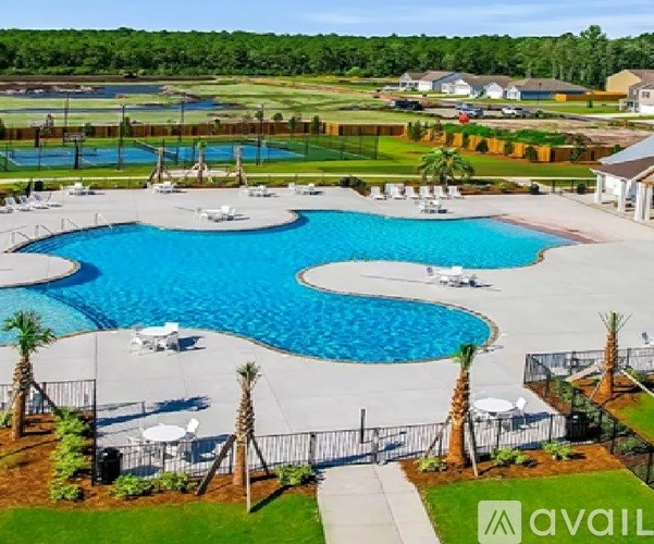 A large outdoor swimming pool surrounded by palm trees and lounge chairs.