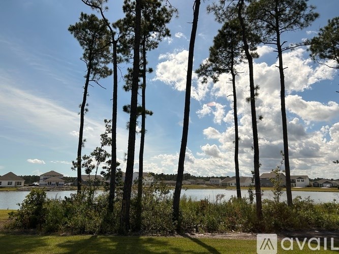 A group of tall trees are in the foreground of a body of water with houses in the background.