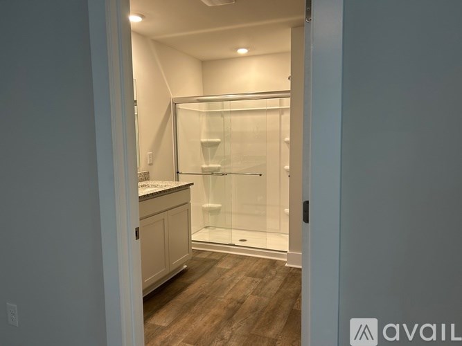 A bathroom with a walk-in shower and a sink.