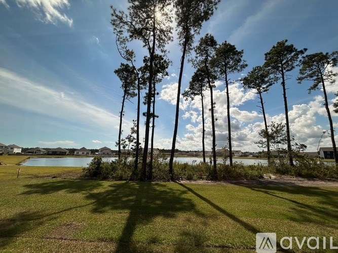 A row of trees stands in a field with a body of water in the background.