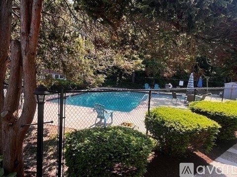 A pool surrounded by green bushes and trees.