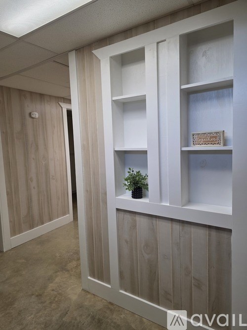 A room with a white shelf and a plant on it.