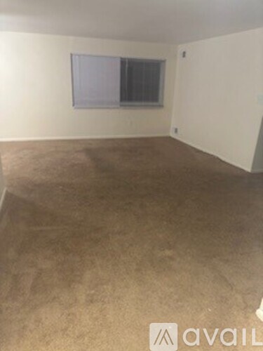 A room with a brown carpet and a window.