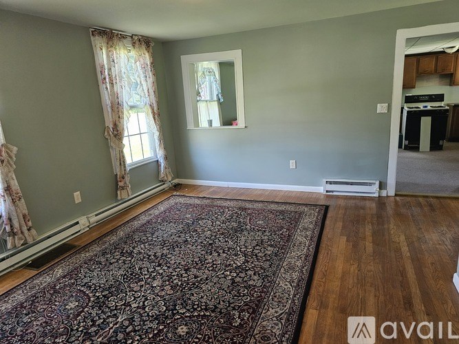 A room with a rug on the floor and a mirror on the wall.