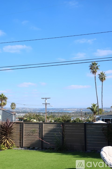A backyard with a wooden fence and a palm tree.