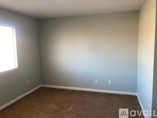 A room with a carpeted floor and a window letting in natural light.