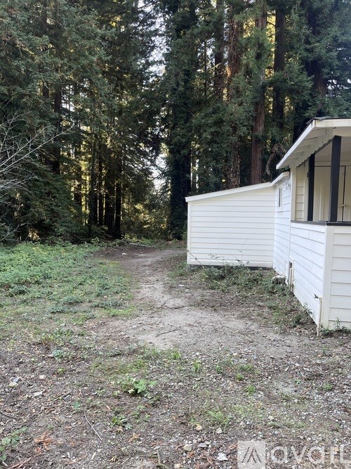 A white house is situated in a wooded area with a dirt path leading to it.